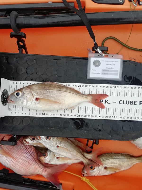 Fish Measure Picture